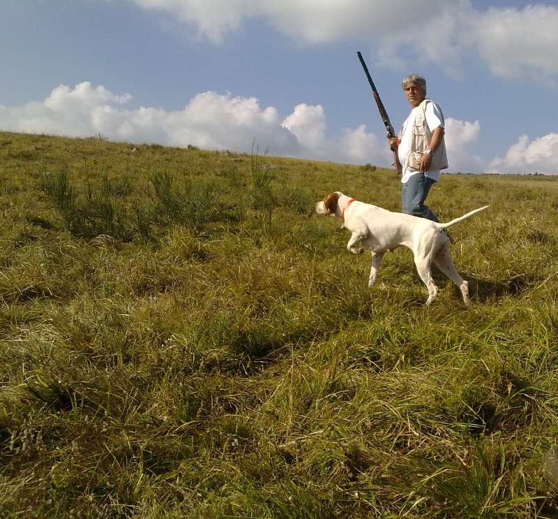 TR. CH. Barça des Gorges du Regalon