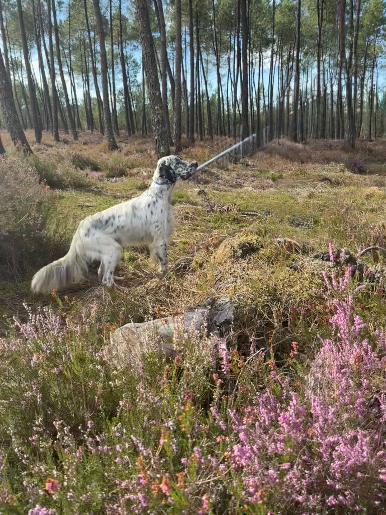 Publication : des Gorges du Regalon