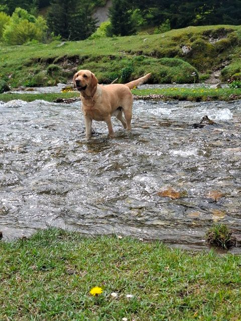 That's maya de La légende de la loutre