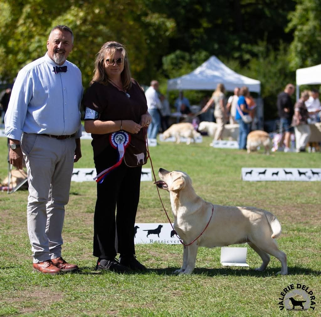 CH. Snowbell de La légende de la loutre - 2ème Excellent classe Champion Femelle