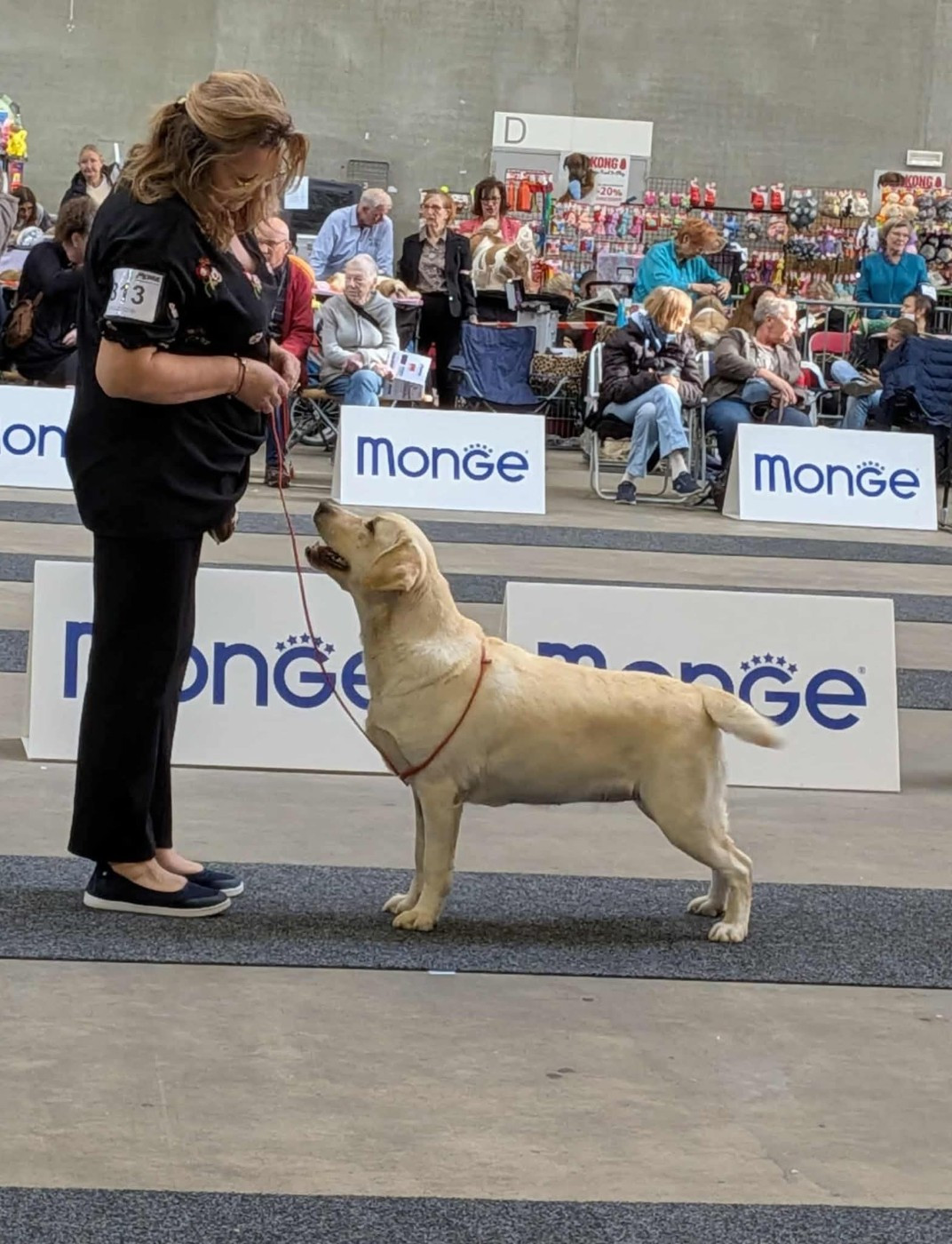 CH. Snowbell de La légende de la loutre - 2ème Excellent classe Champion Femelle - RCACIB