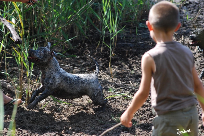 Publication : Staffanatic's Auteur : staffanatic