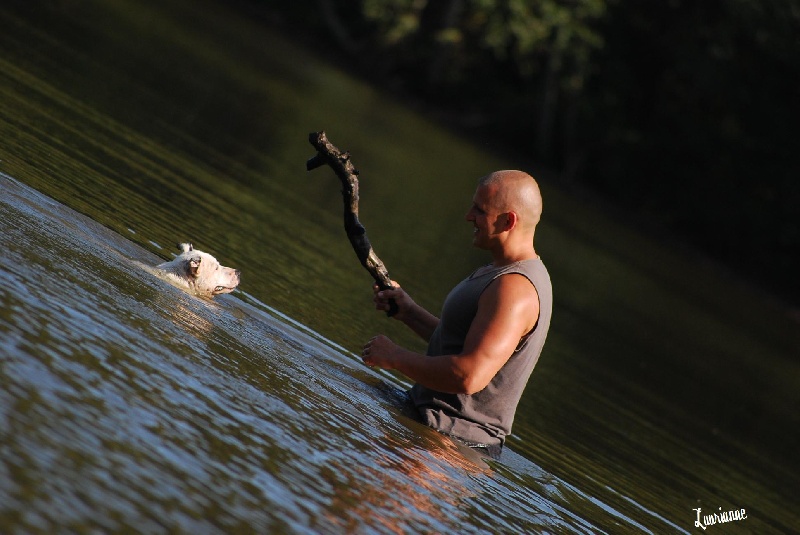 Publication : Staffanatic's Auteur : staffanatic