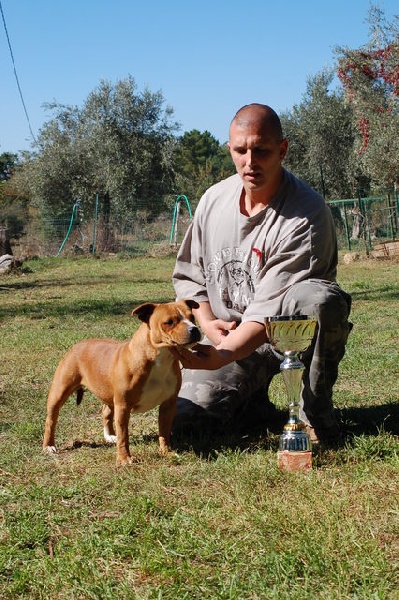 Staffanatic's Catch me if you can