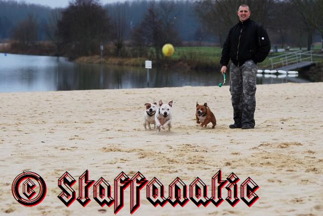 Publication : Staffanatic's Auteur : staffanatic