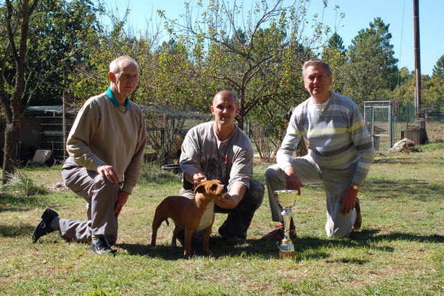 Staffanatic's Catch me if you can