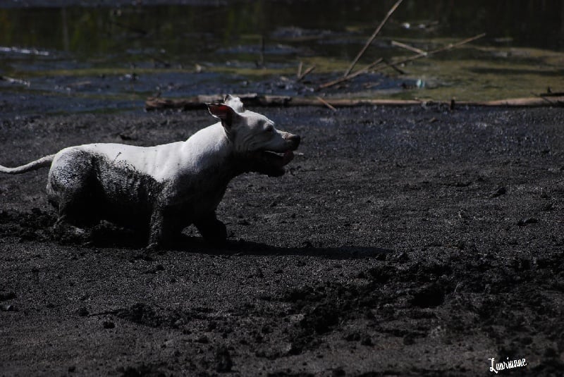 Publication : Staffanatic's Auteur : staffanatic