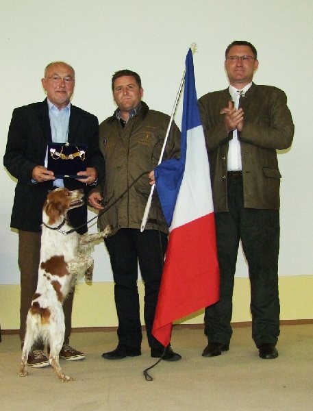 CH. Dollar Des plaines dauxeenes - CACIT - CHAMPION DU MONDE