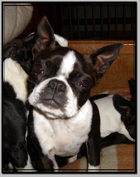 Publication : des Hauts coureurs Auteur : hauts coureurs