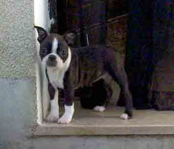 Publication : des Hauts coureurs Auteur : hauts coureurs