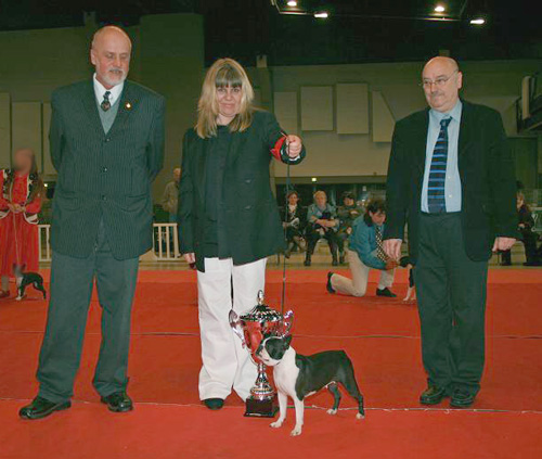 CH. Volte face des Hauts coureurs