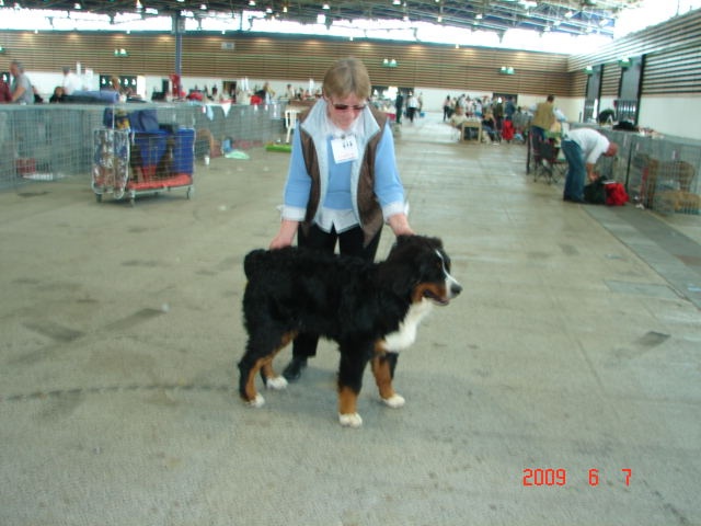 Notaris narvyk Off sofie's pride - TP Meilleur Puppy