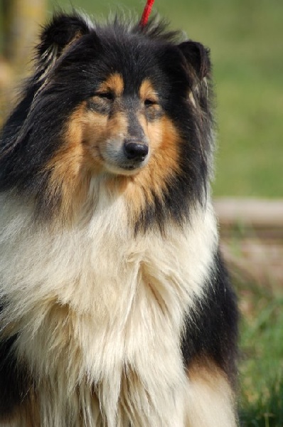 Publication : Clos des duchesses Auteur : Sylvie Dancoisne