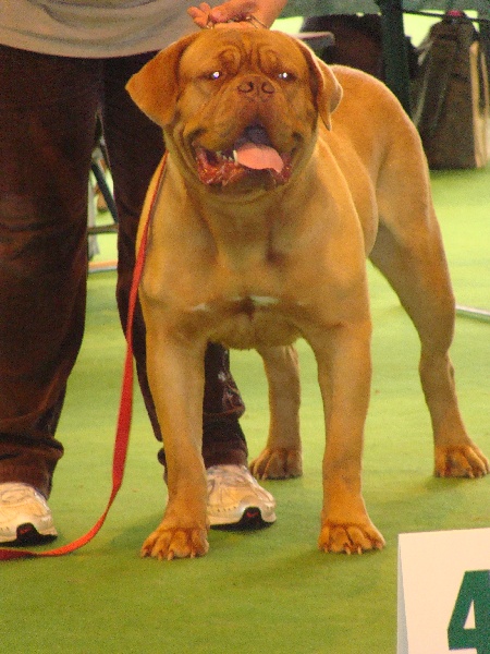 Publication : de la caverne des crocs mignons