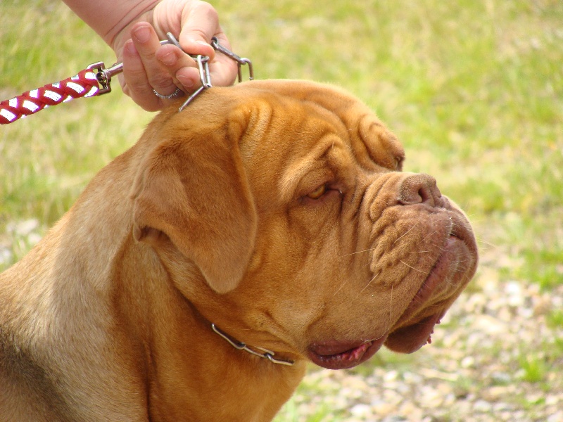 Publication : de la caverne des crocs mignons