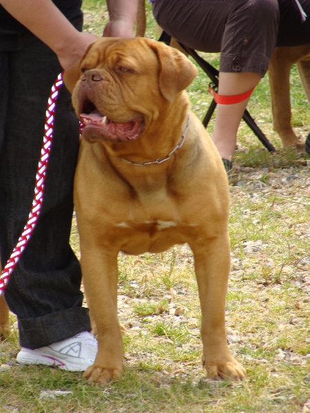 Publication : de la caverne des crocs mignons