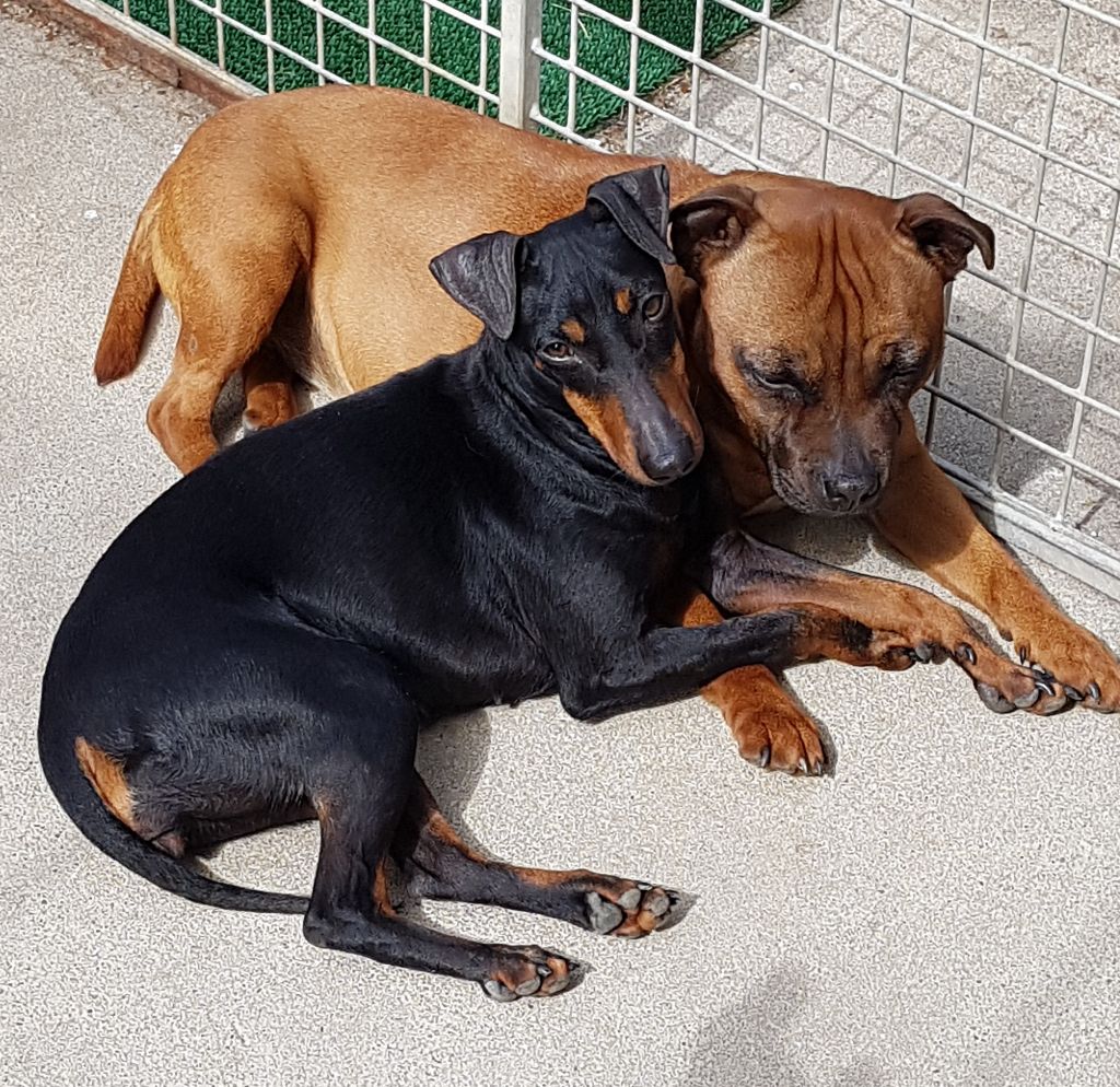 Publication : Eolyne's Auteur : EOLYNE'S