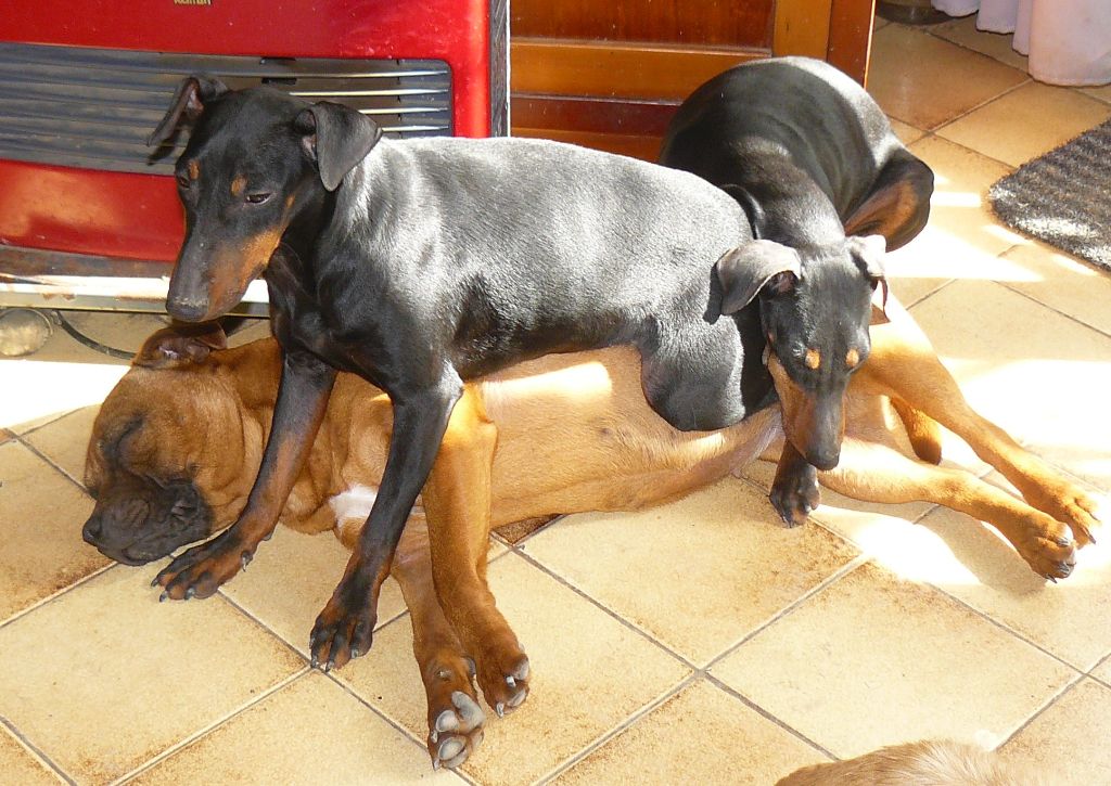 Publication : Eolyne's Auteur : EOLYNE'S