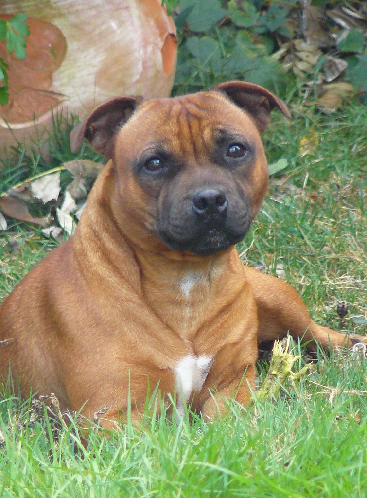 Publication : Eolyne's Auteur : EOLYNE'S