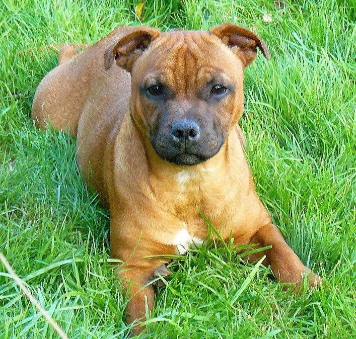 Publication : Eolyne's Auteur : EOLYNE'S