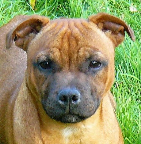 Publication : Eolyne's Auteur : EOLYNE'S