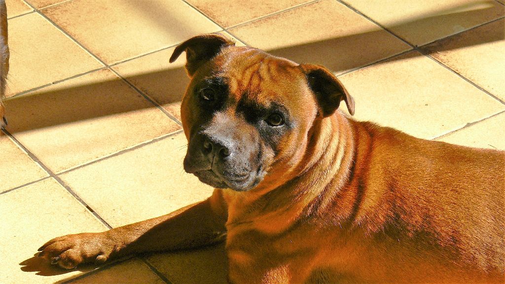 Publication : Eolyne's Auteur : EOLYNE'S