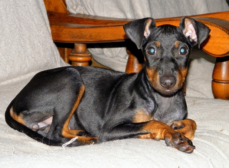 Publication : Eolyne's Auteur : EOLYNE'S