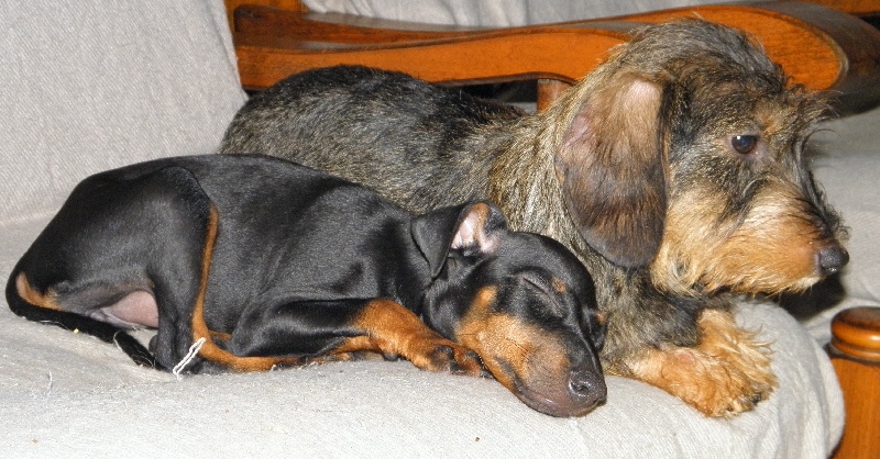 Publication : Eolyne's Auteur : EOLYNE'S