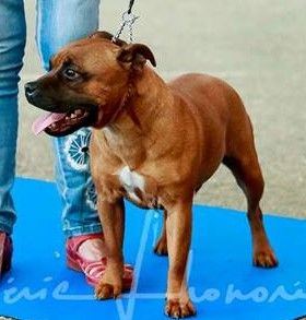 Publication : Eolyne's Auteur : EOLYNE'S