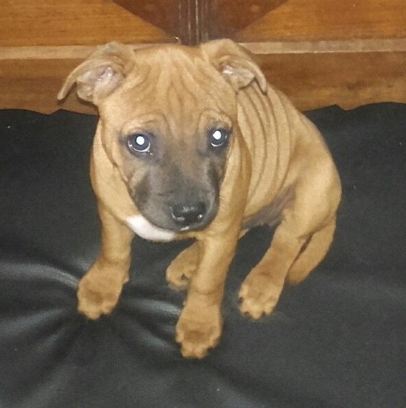 Publication : Eolyne's Auteur : EOLYNE'S