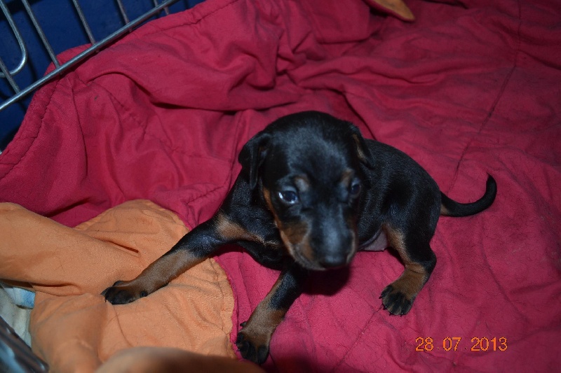 Publication : Eolyne's Auteur : EOLYNE'S