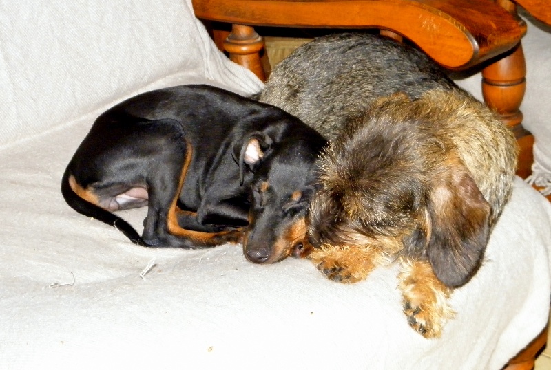 Publication : Eolyne's Auteur : EOLYNE'S