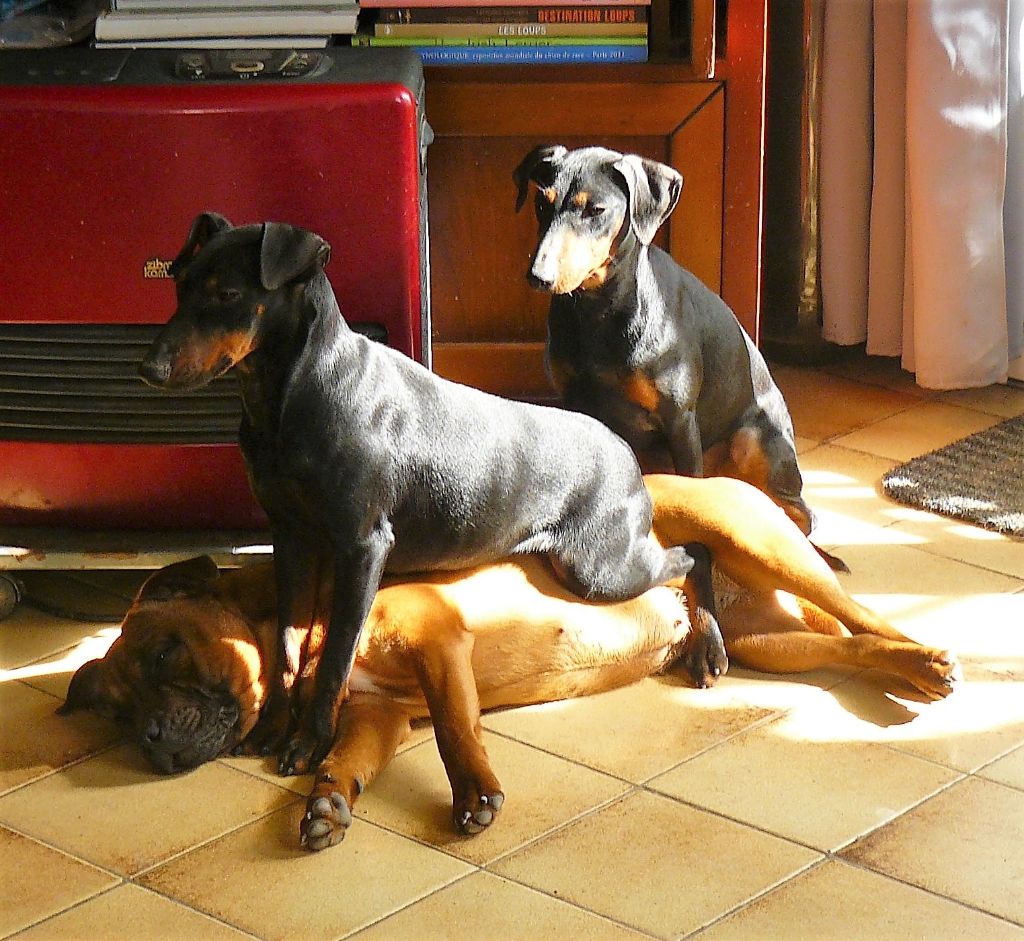 Publication : Eolyne's Auteur : EOLYNE'S