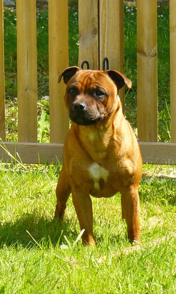 Publication : Eolyne's Auteur : EOLYNE'S