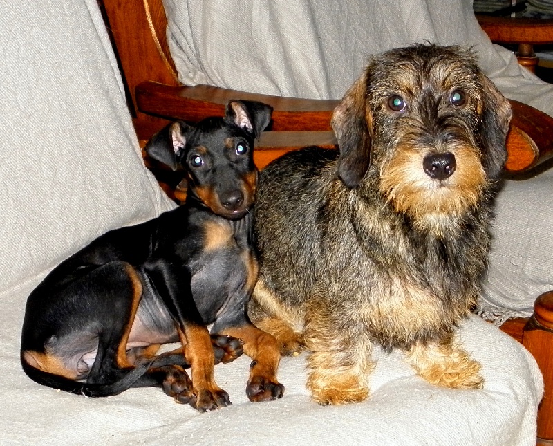 Publication : Eolyne's Auteur : EOLYNE'S