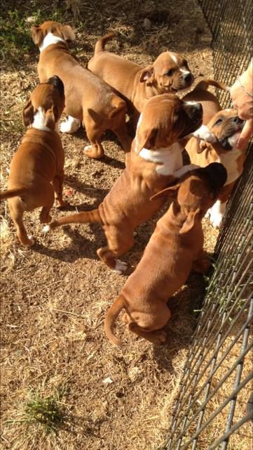 Publication : Eolyne's Auteur : EOLYNE'S