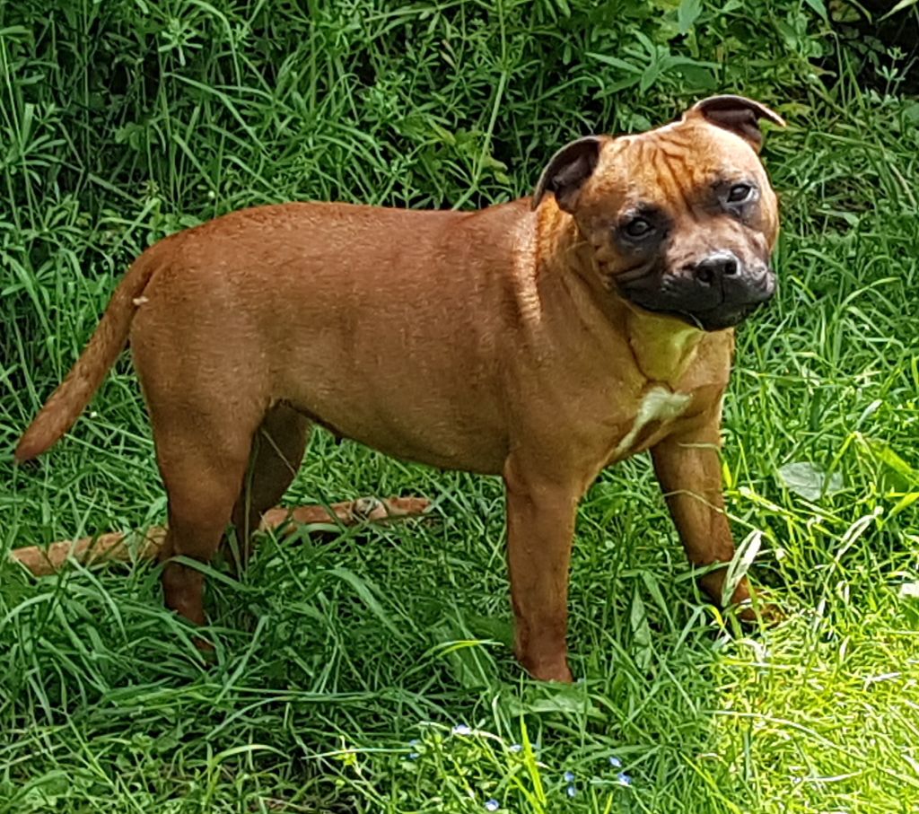 Publication : Eolyne's Auteur : EOLYNE'S