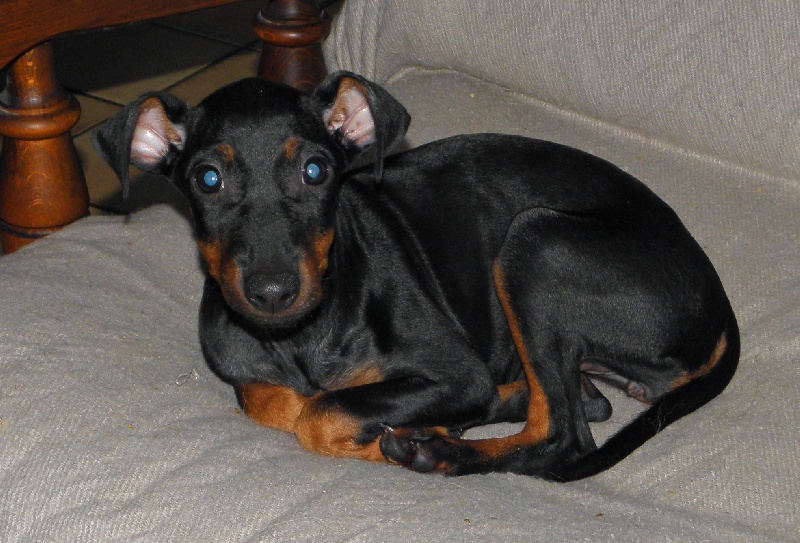 Publication : Eolyne's Auteur : EOLYNE'S