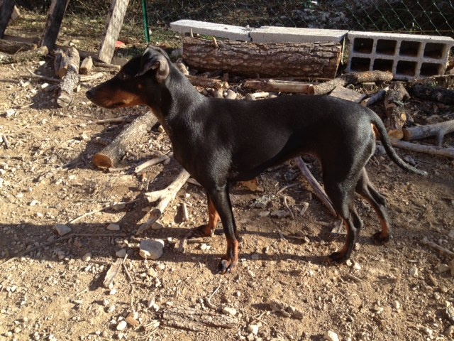 Publication : Eolyne's Auteur : EOLYNE'S