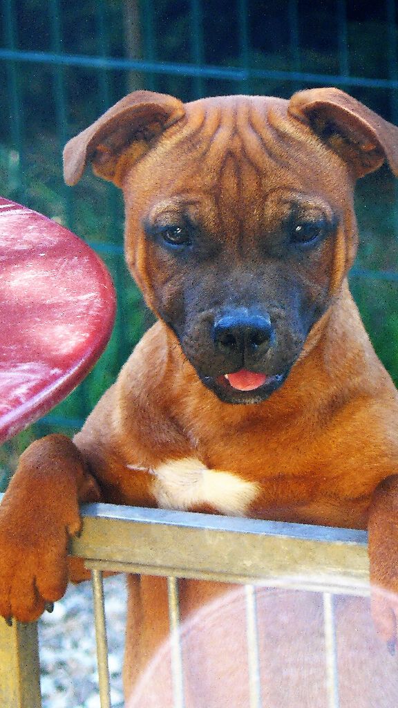 Publication : Eolyne's Auteur : EOLYNE'S