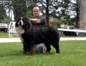 Publication : des mystères du vieux saule