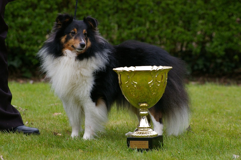 Publication : Des Fées Du Pays Noir