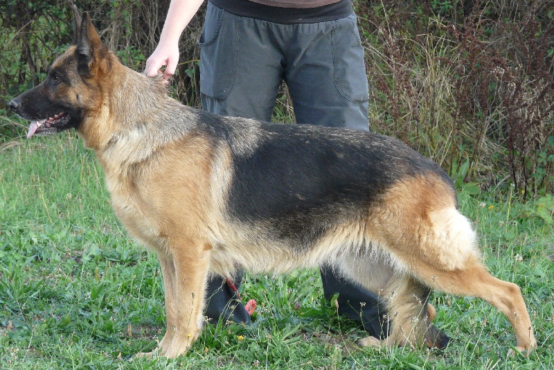 Vendy Vom ladignac farm