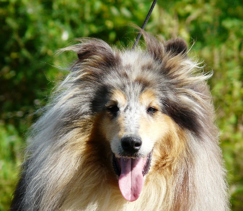 Publication : de la Passion d'une Vie