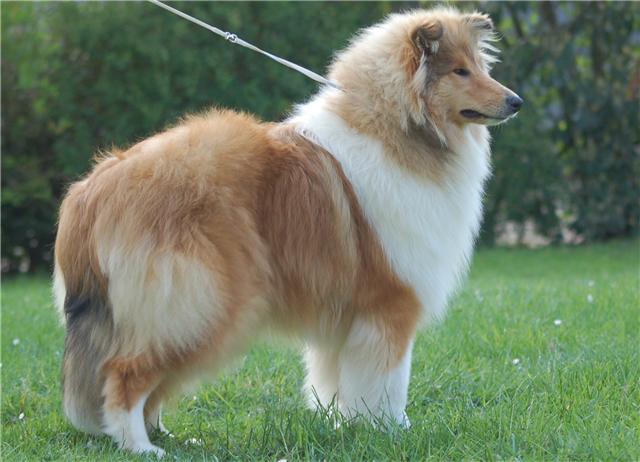 Publication : de la Passion d'une Vie Auteur : virginire ragnueneau