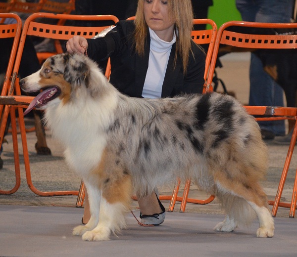 Fuel for life Du clos des duchesses