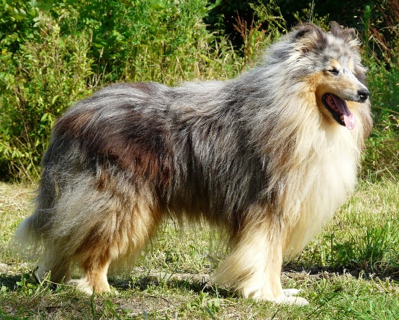 Publication : de la Passion d'une Vie