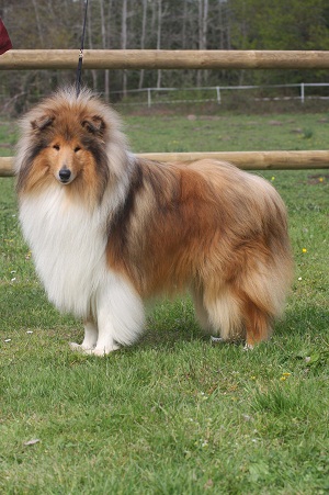 Publication : de la Passion d'une Vie