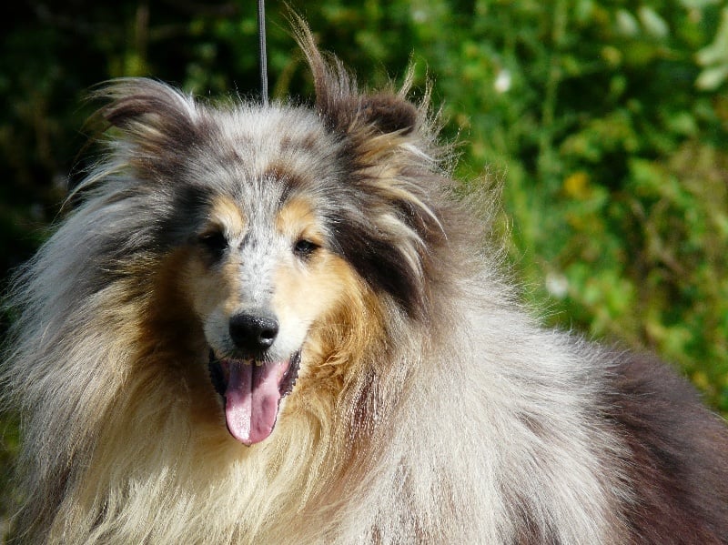 Publication : de la Passion d'une Vie