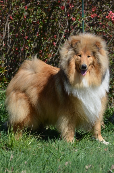 Ghost whisperer de la Passion d'une Vie